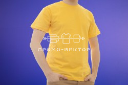 _1534285